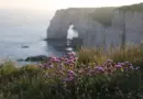Il endommage volontairement un véhicule de la BAC avec son briquet !