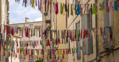 Occitanie. Start-up : Capitole Angels et Melies Business Angels fusionnent pour devenir Occitanie Angels