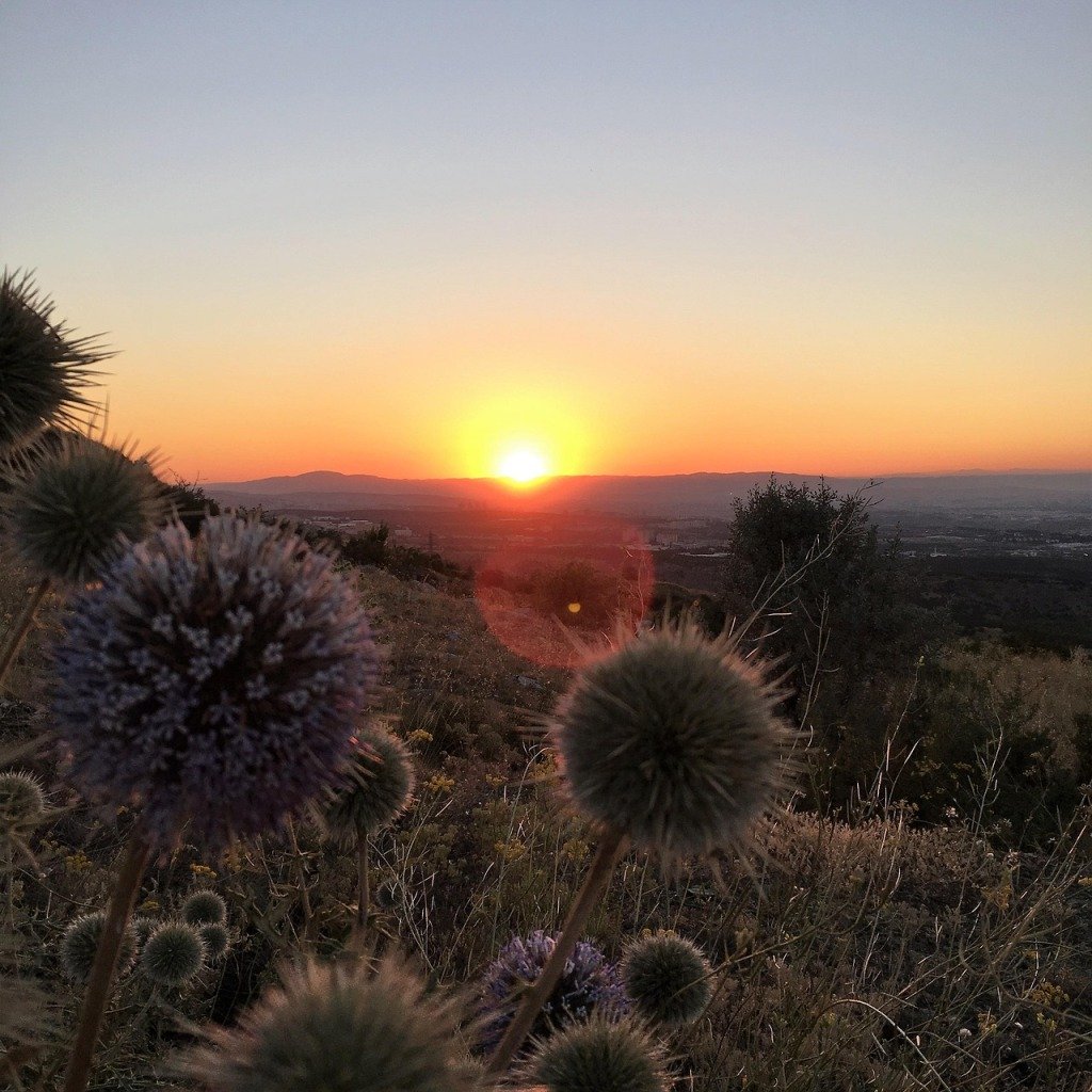 Du soleil et du vent oute la semaine à Montpellier