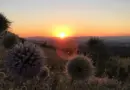 Du soleil et du vent oute la semaine à Montpellier
