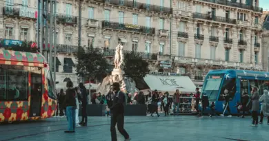Montpellier : deux pistes en L1 pour Chotard