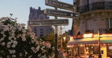 Le Comptoir du disque célèbre le passage des coureurs du Tour de France à Montpellier avec une vitrine haute en couleur
