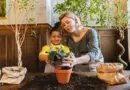 Montpellier : Le Family Piknik va faire jumper tout le sud