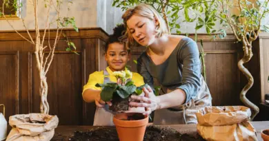 Montpellier : Le Family Piknik va faire jumper tout le sud