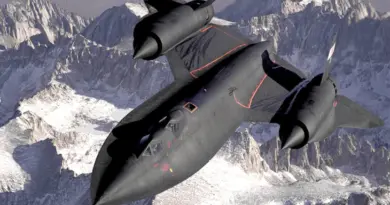 « On veut que ce lieu devienne une ambassade montpelliéraine » : à Avignon, L’Adresse en quête de reconnaissance
